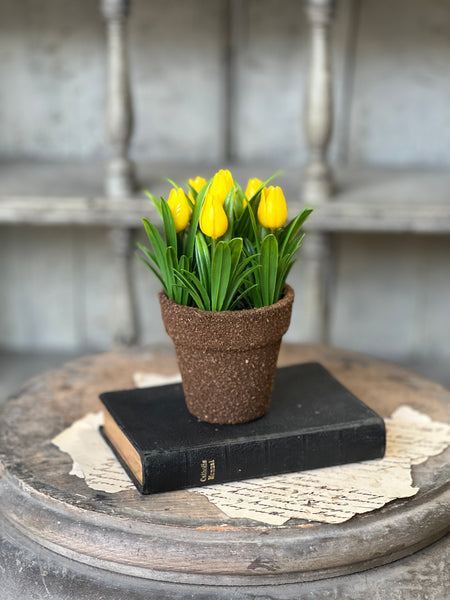 Teacup Tulip Pot | 5" | Yellow | NOT CURRENTLY IN STOCK-New For Spring 2026!