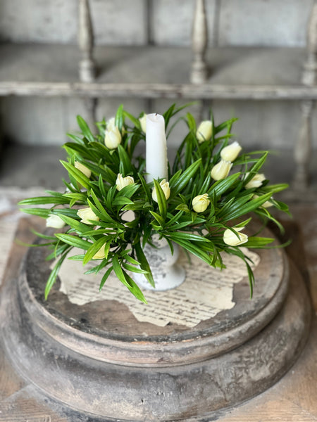 Teacup Tulip Candle Ring | 8" | Cream | NOT CURRENTLY IN STOCK-New For Spring 2026!
