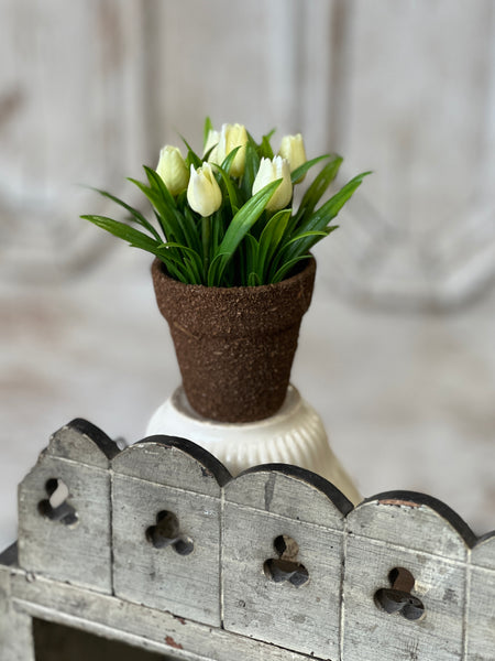 Teacup Tulip Pot | 5" | Cream | NOT CURRENTLY IN STOCK-New For Spring 2026!