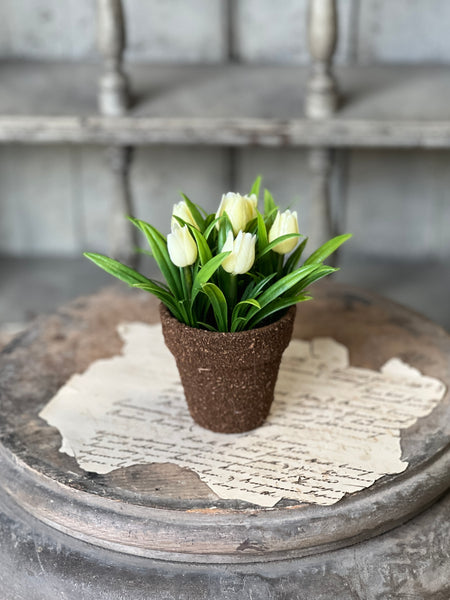 Teacup Tulip Pot | 5" | Cream | NOT CURRENTLY IN STOCK-New For Spring 2026!