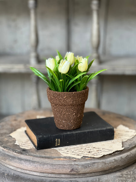 Teacup Tulip Pot | 5" | Cream | NOT CURRENTLY IN STOCK-New For Spring 2026!