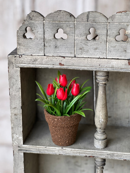 Teacup Tulip Pot | 5" | Red | NOT CURRENTLY IN STOCK-New For Spring 2026!