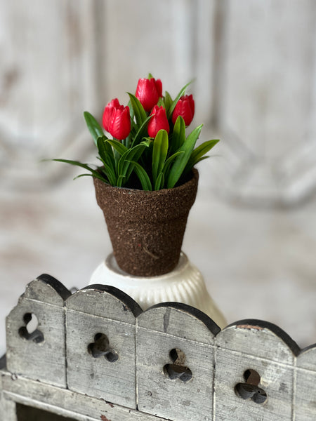 Teacup Tulip Pot | 5" | Red | NOT CURRENTLY IN STOCK-New For Spring 2026!