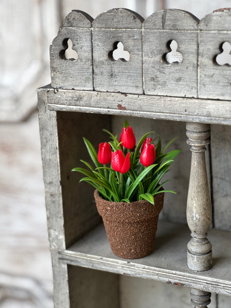 Teacup Tulip Pot | 5" | Red | NOT CURRENTLY IN STOCK-New For Spring 2026!