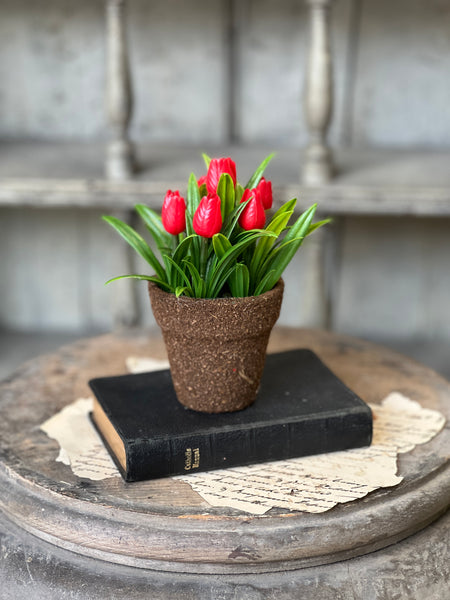 Teacup Tulip Pot | 5" | Red | NOT CURRENTLY IN STOCK-New For Spring 2026!