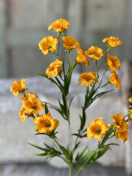 Cannikin Flower Spray | 20" | Marigold | NOT CURRENTLY IN STOCK-New For Spring 2026!