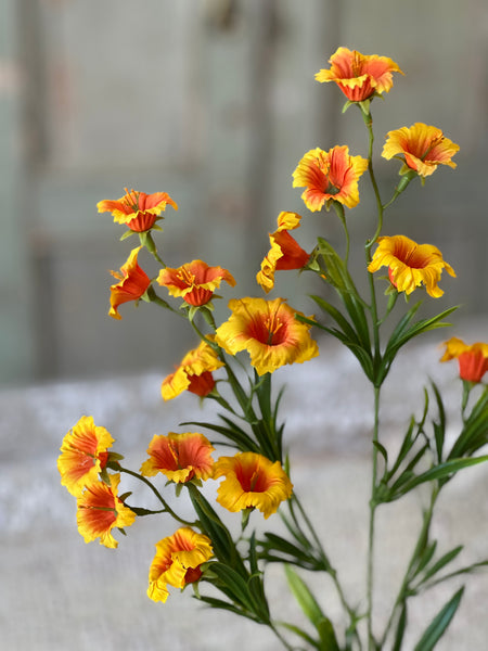 Cannikin Flower Spray | 20" | Festival | NOT CURRENTLY IN STOCK-New For Spring 2026!