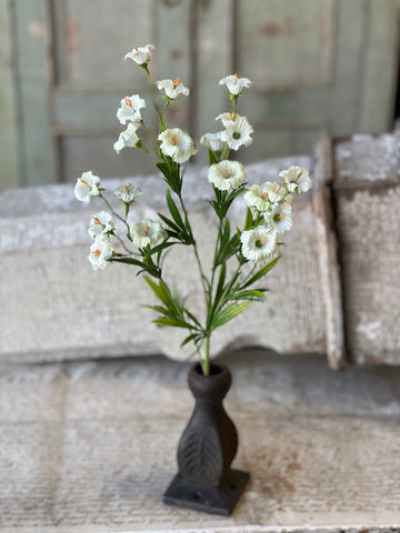 Cannikin Flower Spray | 20" | Cream | NOT CURRENTLY IN STOCK-New For Spring 2026!