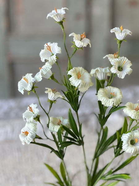 Cannikin Flower Spray | 20" | Cream | NOT CURRENTLY IN STOCK-New For Spring 2026!