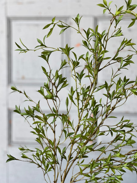 Sundial Leaves Spray | 40" | NOT CURRENTLY IN STOCK-New For Spring 2026!