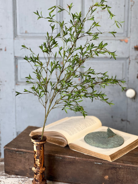 Sundial Leaves Spray | 40" | NOT CURRENTLY IN STOCK-New For Spring 2026!