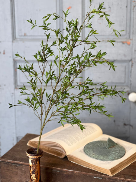 Sundial Leaves Spray | 40" | NOT CURRENTLY IN STOCK-New For Spring 2026!