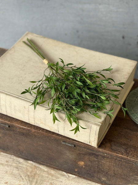 Sundial Leaves Bundle | 16" | NOT CURRENTLY IN STOCK-New For Spring 2027!