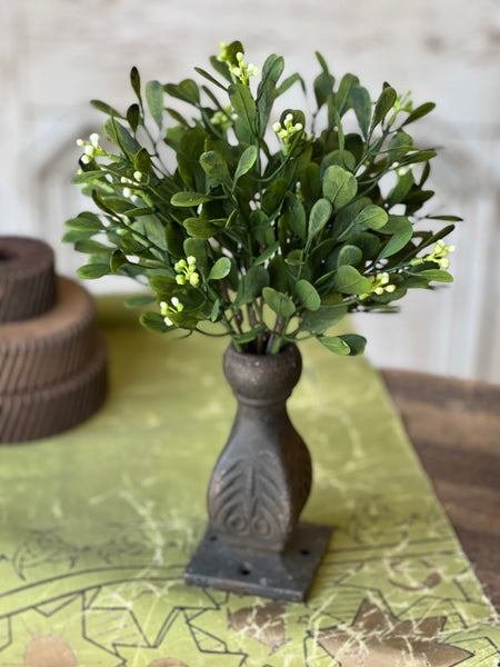 Connemara Greens Bush | 11" | NOT CURRENTLY IN STOCK-New For Spring 2026!