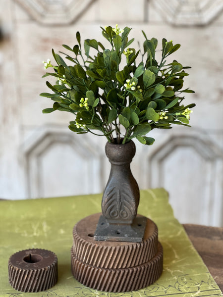 Connemara Greens Bush | 11" | NOT CURRENTLY IN STOCK-New For Spring 2026!