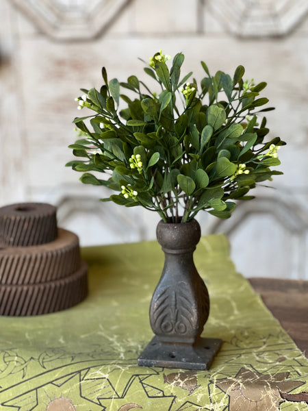 Connemara Greens Bush | 11" | NOT CURRENTLY IN STOCK-New For Spring 2026!