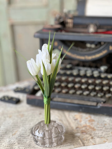 Teeny Tiny Tulips | 7" | Cream | NOT CURRENTLY IN STOCK - Spring 2026