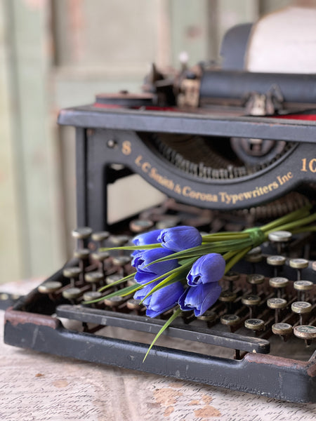 Teeny Tiny Tulips | 7" | Lapis