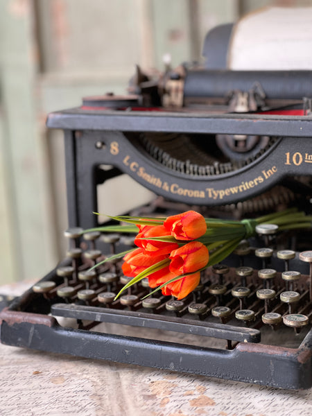 Teeny Tiny Tulips | 7" | Orange