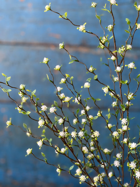 Love Buds Bush | 20" | Cream | NOT CURRENTLY IN STOCK - Spring 2026