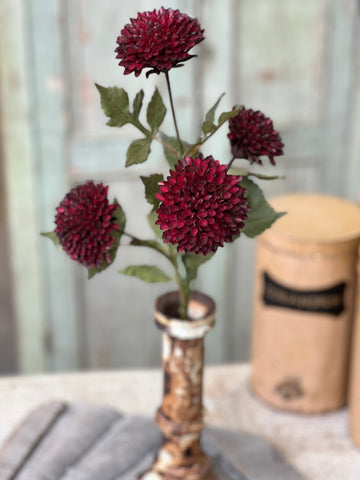 Picadilly Spray | 25" | Sangria