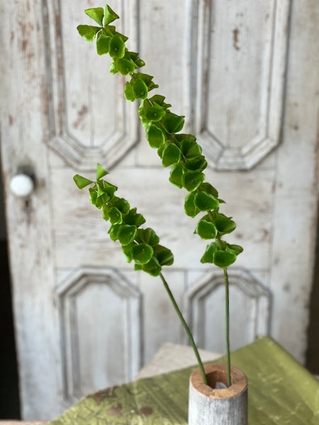 Bells of Ireland Stem | 32" | NOT CURRENTLY IN STOCK-New For Spring 2026!
