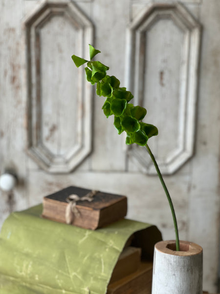 Bells of Ireland Stem | 32" | NOT CURRENTLY IN STOCK-New For Spring 2026!
