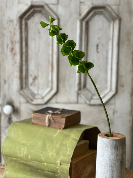 Bells of Ireland Stem | 32" | NOT CURRENTLY IN STOCK-New For Spring 2026!