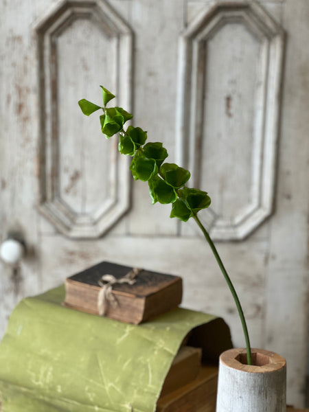 Bells of Ireland Stem | 32" | NOT CURRENTLY IN STOCK-New For Spring 2026!