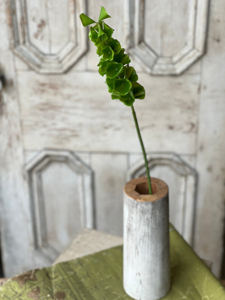 Bells of Ireland Stem | 32" | NOT CURRENTLY IN STOCK-New For Spring 2026!