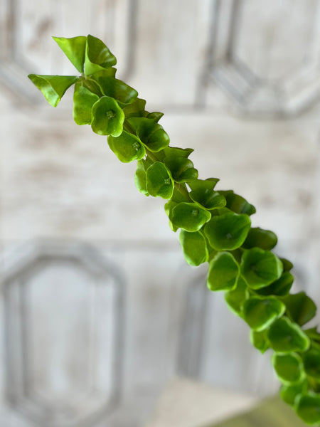 Bells of Ireland Stem | 42" | NOT CURRENTLY IN STOCK-New For Spring 2026!