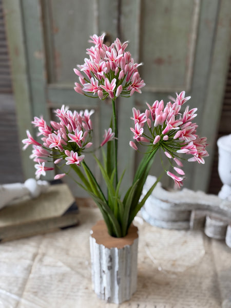 Nile Lily Bush | 21" | Pink | NOT CURRENTLY IN STOCK-New For Spring 2027!