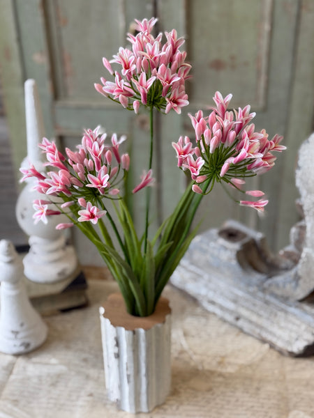 Nile Lily Bush | 21" | Pink | NOT CURRENTLY IN STOCK-New For Spring 2027!