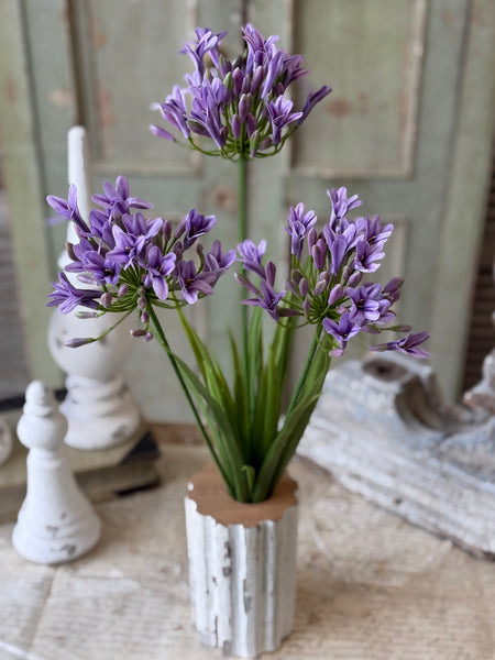 Nile Lily Bush | 21" | Purple | NOT CURRENTLY IN STOCK-New For Spring 2027!