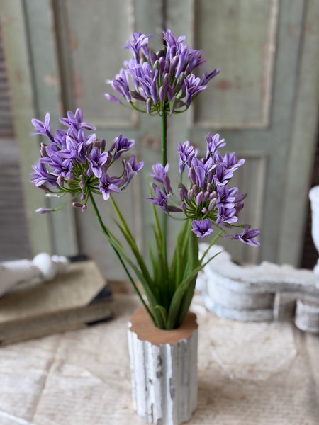 Nile Lily Bush | 21" | Purple | NOT CURRENTLY IN STOCK-New For Spring 2027!