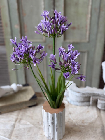 Nile Lily Bush | 21" | Purple | NOT CURRENTLY IN STOCK-New For Spring 2027!