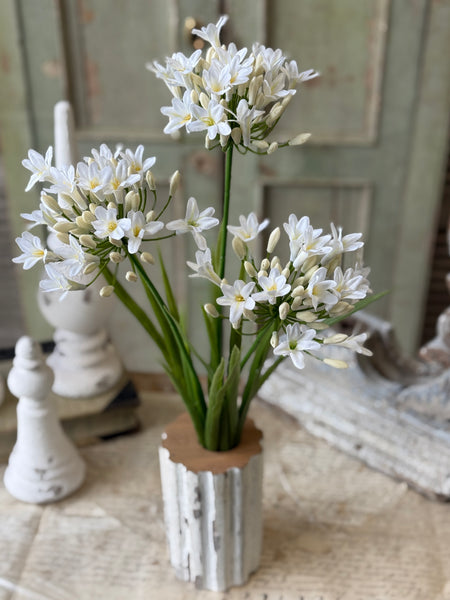 Nile Lily Bush | 21" | White | NOT CURRENTLY IN STOCK-New For Spring 2027!