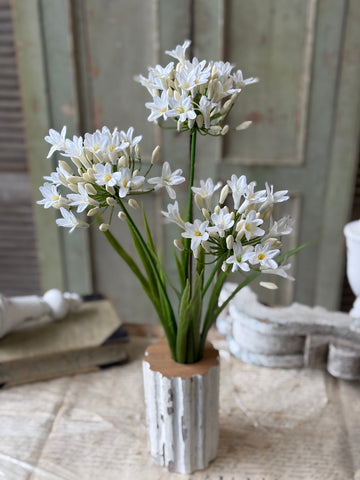 Nile Lily Bush | 21" | White | NOT CURRENTLY IN STOCK-New For Spring 2027!