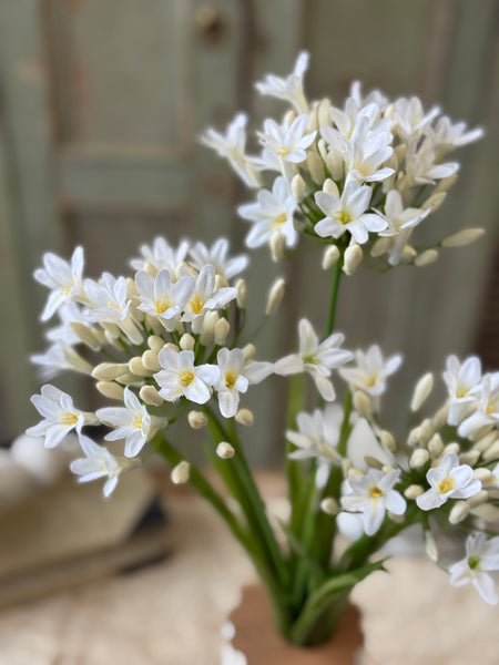 Nile Lily Bush | 21" | White | NOT CURRENTLY IN STOCK-New For Spring 2027!