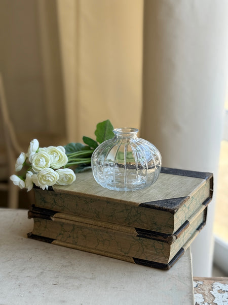 Callisto Vessel | 3.25" | No. 5 | NOT CURRENTLY IN STOCK-New For Spring 2027!