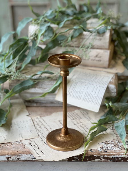 Guinevere Holder | 8" | Limited Stock - Last 12pcs!