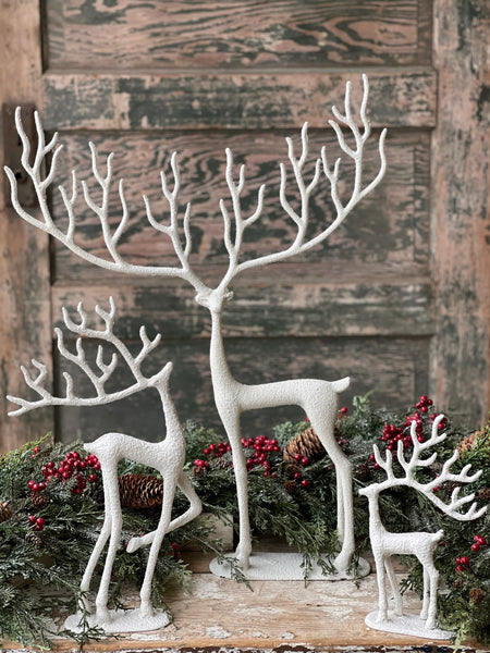 Illustrious Caribou | 11"