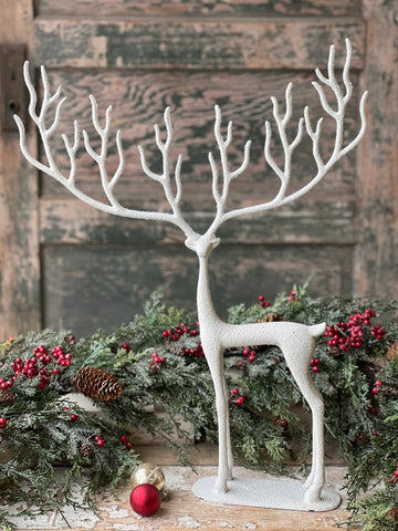 Illustrious Caribou | 25"