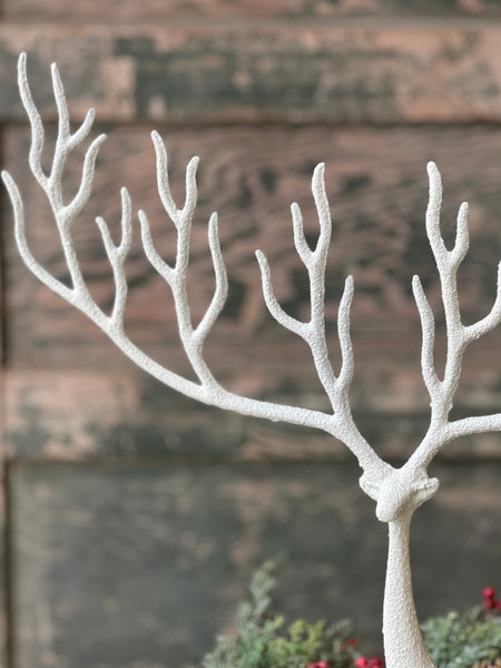 Illustrious Caribou | 25"