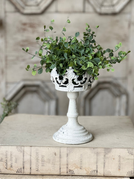 Crown Line Holder | 7.75"