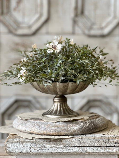 Labelle Holder | 4" | Mercuresque | SOLD OUT