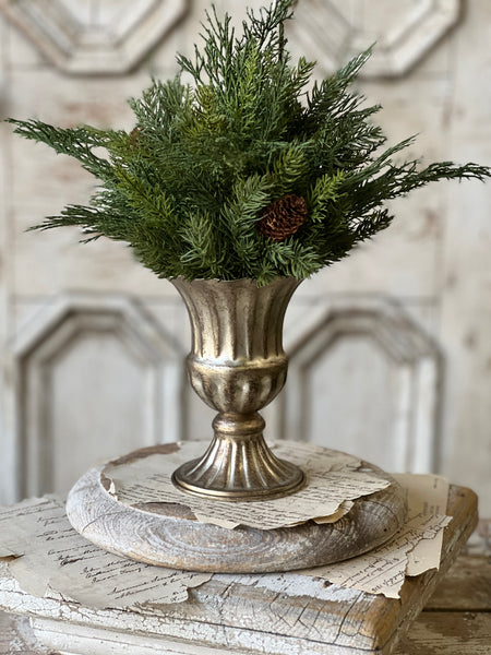 Labelle Holder | 6.5" | Mercuresque | SOLD OUT