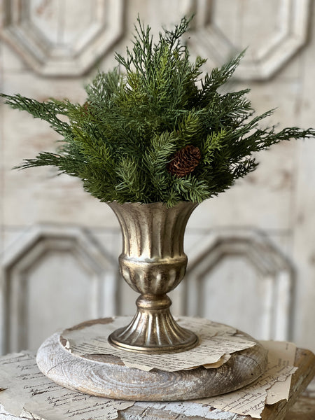 Labelle Holder | 6.5" | Mercuresque | SOLD OUT