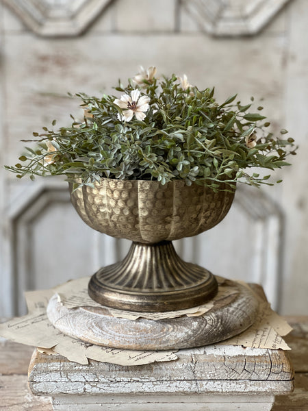 Lamine Compote | 6" | Mercuresque | SOLD OUT