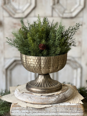 Lamine Compote | 6" | Mercuresque | SOLD OUT